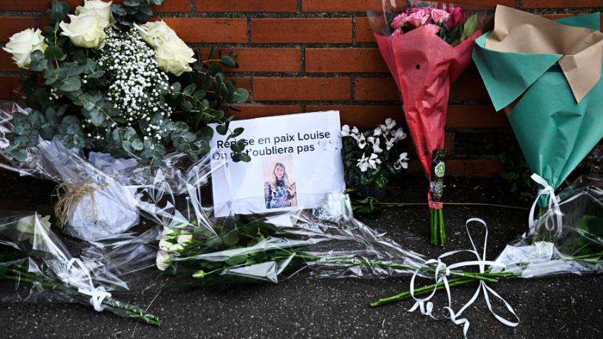 Capture decran 2025 02 14 152516 Louise