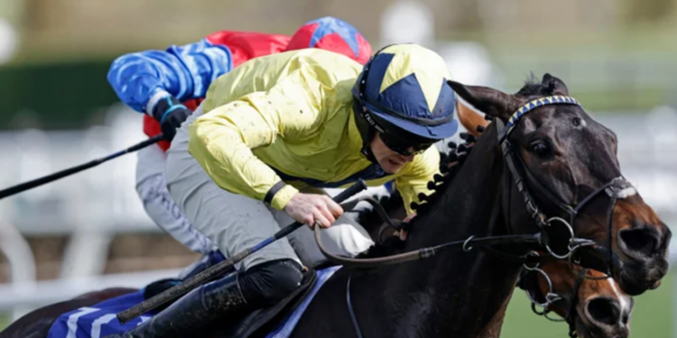 Capture decran 2025 02 17 144636 jockey irlandais