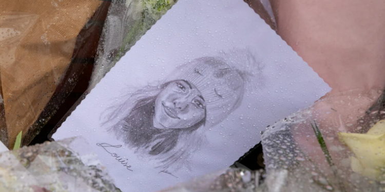 Capture decran 2025 02 17 184939 Louise