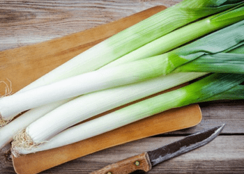 Ne jetez plus vos verts de poireau ! L'astuce géniale pour les utiliser 12 Ne jetez plus vos verts de poireau ! L'astuce géniale pour les utiliser Ne jetez plus vos verts de poireau ! L’astuce géniale pour les utiliser