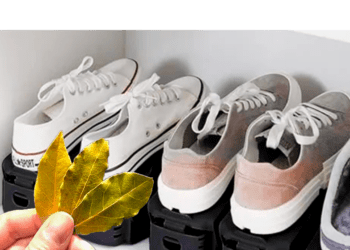 Vous devriez mettre une feuille de laurier dans vos chaussures dès aujourd’hui, et voici pourquoi 9 Vous devriez mettre une feuille de laurier dans vos chaussures dès aujourd’hui, et voici pourquoi Vous devriez mettre une feuille de laurier dans vos chaussures dès aujourd’hui, et voici pourquoi