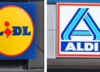 Cette nouvelle enseigne discount va faire de l'ombre à Lidl et Aldi grâce à ses tous petit prix ! 2 Cette nouvelle enseigne discount va faire de l'ombre à Lidl et Aldi grâce à ses tous petit prix ! Capture decran 2025 02 19 163024 Lidl
