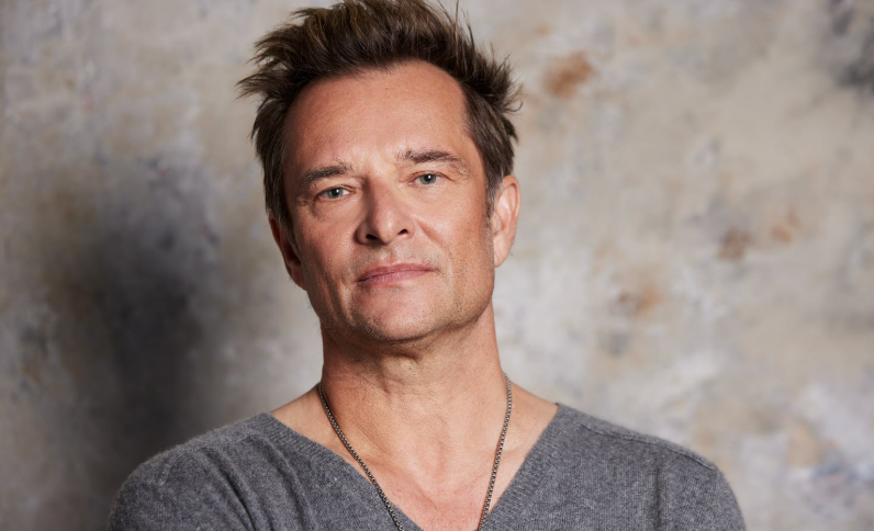 Capture decran 2025 02 21 125343 David Hallyday