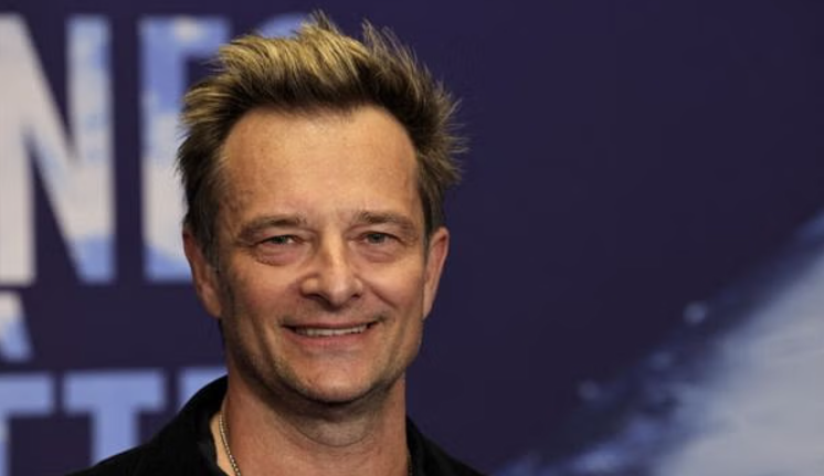 Capture decran 2025 02 24 142007 David Hallyday