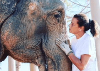 Stéphanie de Monaco frappée par la m0rt : la terrible nouvelle est tombée