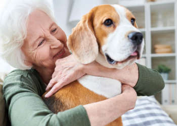 Voici les races de chiens idéales pour les seniors