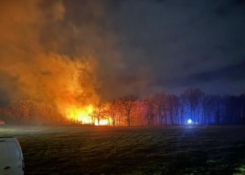 Vent en Dordogne : plusieurs hectares de forêts en flammes, des foyers privés d&rsquo;électricité