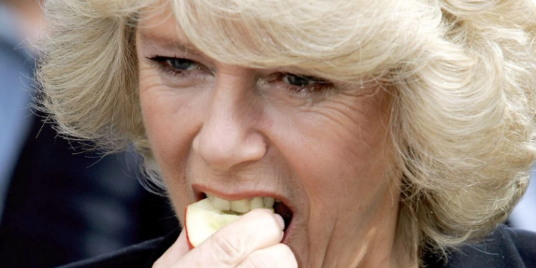 Capture decran 2025 03 11 124933 la reine Camilla