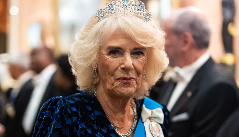 Capture decran 2025 03 13 145839 Camilla
