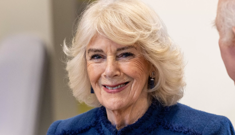 Capture decran 2025 03 13 145848 Camilla