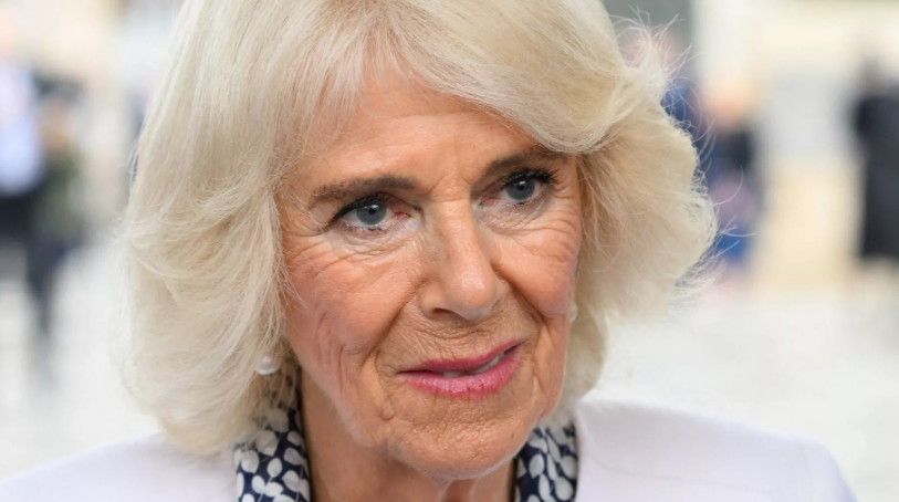 Capture decran 2025 03 13 145908 Camilla