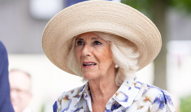 Capture decran 2025 03 13 145929 Camilla