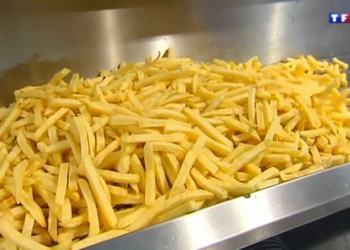 Du pétrole et du silicone dans les frites de McDonald's ? Retour sur un mythe qui ne ramollit pas 7 Du pétrole et du silicone dans les frites de McDonald's ? Retour sur un mythe qui ne ramollit pas Du pétrole et du silicone dans les frites de McDonald’s ? Retour sur un mythe qui ne ramollit pas