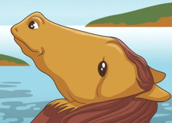 Ce que vous voyez en premier sur l’image révèle des secrets sur votre caractère