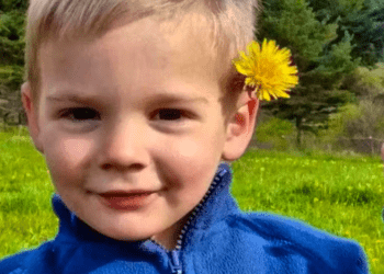 Disparition d'Émile: les auditions de témoins se poursuivent en parallèle des gardes à vue 7 Disparition d'Émile: les auditions de témoins se poursuivent en parallèle des gardes à vue Disparition d’Émile: les auditions de témoins se poursuivent en parallèle des gardes à vue