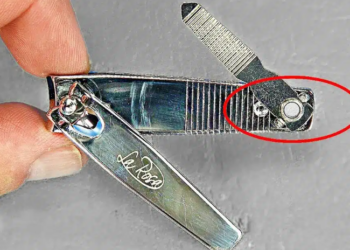 À quoi sert vraiment le petit trou du coupe ongles ? 11 À quoi sert vraiment le petit trou du coupe ongles ? À quoi sert vraiment le petit trou du coupe ongles ?