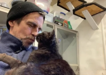 Le propriétaire d&rsquo;un refuge pour chats meurt dans un incendie en tentant de secourir les animaux, 100 chats périssent avec lui