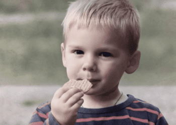 Décès d’Emile au Vernet : un Youtubeur à « la voix lugubre » convoqué par les gendarmes pour une troublante coïncidence