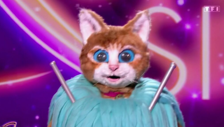 Capture decran 2025 05 06 145624 1 Chaton
