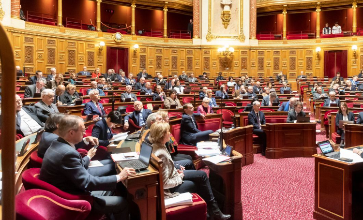 Capture decran 2025 05 07 085624 Sénateur