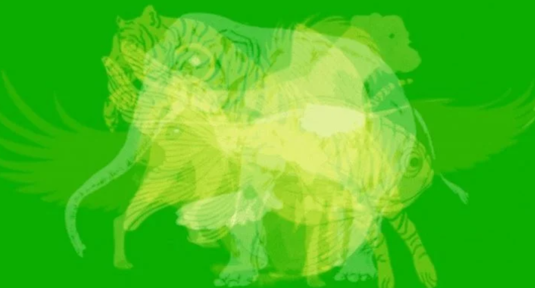 Capture decran 2025 05 08 143359 animal