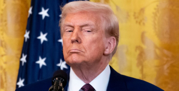 Capture decran 2025 05 09 045055 Donald Trump