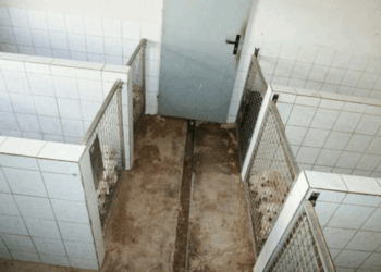 Après un an dans des conditions inimaginables, une adolescente parvient à s’échapper et alerte les secours 7 Après un an dans des conditions inimaginables, une adolescente parvient à s’échapper et alerte les secours Après un an dans des conditions inimaginables, une adolescente parvient à s’échapper et alerte les secours