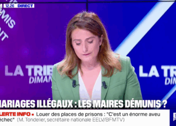 « Ils s’en prennent maintenant à l’amour… » Marine Tondelier furieuse contre les maires qui refusent de marier des étrangers