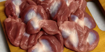 Pourquoi est-il bon de consommer des gésiers de poulet ?