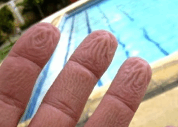 Pourquoi nos doigts se fripent-ils dans l’eau ?