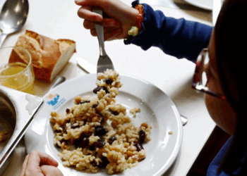 Impôts 2025 : jusqu’à 1 750 euros… votre enfant mange à la cantine ? Vous avez droit à ce crédit d’impôt méconnu 8 Impôts 2025 : jusqu’à 1 750 euros… votre enfant mange à la cantine ? Vous avez droit à ce crédit d’impôt méconnu Impôts 2025 : jusqu’à 1 750 euros… votre enfant mange à la cantine ? Vous avez droit à ce crédit d’impôt méconnu