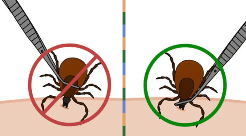 Capture d’écran 2025-05-27 165307 Capture d’écran 2025-05-27 165307