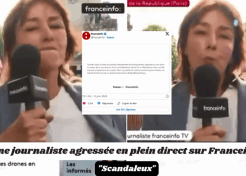 Une journaliste de franceinfo prise à partie par un homme en plein direct, son duplex interrompu 16 Une journaliste de franceinfo prise à partie par un homme en plein direct, son duplex interrompu Une journaliste de franceinfo prise à partie par un homme en plein direct, son duplex interrompu