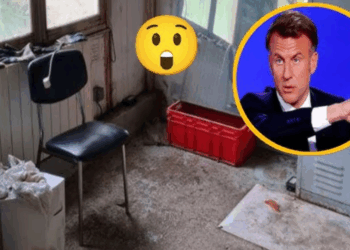 "On m’a dit que j’avais tort de me plaindre" : l’ex-jardinier de la présidence dénonce un "abus de pouvoir", l’Élysée répond 1 "On m’a dit que j’avais tort de me plaindre" : l’ex-jardinier de la présidence dénonce un "abus de pouvoir", l’Élysée répond « On m’a dit que j’avais tort de me plaindre » : l’ex-jardinier de la présidence dénonce un « abus de pouvoir », l’Élysée répond