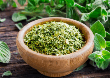 Elle est parmi les plantes les plus puissantes au monde 12 Elle est parmi les plantes les plus puissantes au monde Elle est parmi les plantes les plus puissantes au monde