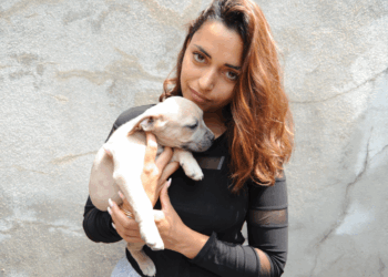 Elle sauve un chien de la m*rt et est condamnée : le témoignage de Diane Gouhier 16 Elle sauve un chien de la m*rt et est condamnée : le témoignage de Diane Gouhier Elle sauve un chien de la m*rt et est condamnée : le témoignage de Diane Gouhier