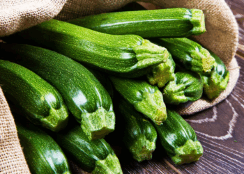 Cette mauvaise habitude de beaucoup avec les courgettes est dangereuse pour la santé 16 Cette mauvaise habitude de beaucoup avec les courgettes est dangereuse pour la santé Cette mauvaise habitude de beaucoup avec les courgettes est dangereuse pour la santé