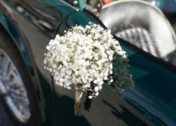 Rhône : 22 amendes infligées au cortège d’un mariage, dont 19 pour excès de vitesse