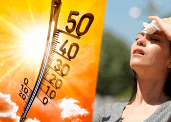 Nouvelle canicule en France la semaine prochaine : plus de 40°C attendus, voici où la chaleur devrait frapper