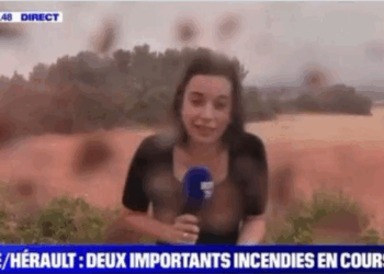 Furax, un pompier remet en place une journaliste de BFMTV en plein direct : « Qu’est-ce que vous faites là ? »