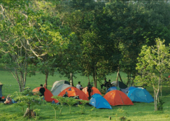 Le camp scout vire au drame : une participante âgée de 13 ans décède, les accompagnateurs n’ont rien pu faire