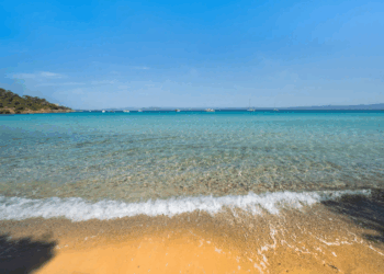 Alpes-Maritimes : effrayante découverte sur une plage alors que les vacances d&rsquo;été battent leur plein (Photo)