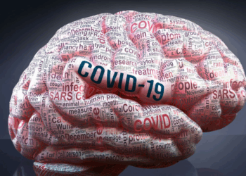 La pandémie de Covid aurait fait vieillir les cerveaux prématurément, même des non infectés