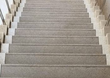 Vous montez ou vous descendez l’échelle ? Ce choix révèle votre véritable point d’ancrage dans la vie