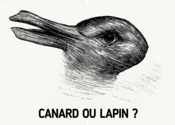 Ce que tu vois en premier sur cette image peut révéler ta façon de penser