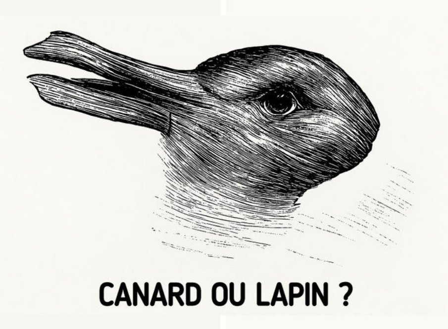 Capture decran 2025 07 29 182011