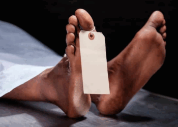 Quels organes continuent de fonctionner après notre disparition ?