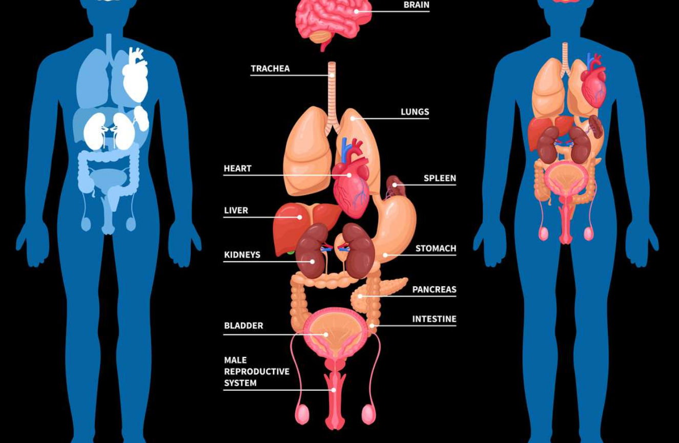 Capture decran 2025 07 29 190816