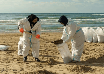 Bactéries fécales, E. coli… : la liste des plages françaises à éviter cet été 2025 est tombée