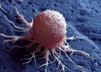 00def791 37f2 410b 9ab1 d9d8d0903771